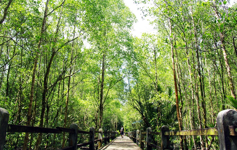 Letak kawasan konservasi hutan mangrove, persisnya bersebelahan dengan kompleks Pasar Gusher