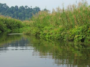 Cagar Alam Rawa Danau, Hutan Air Tawar Terbesar di Jawa