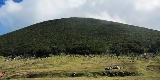 Menapaki Hutan Hujan Tropis Gunung Gede-Pangrango