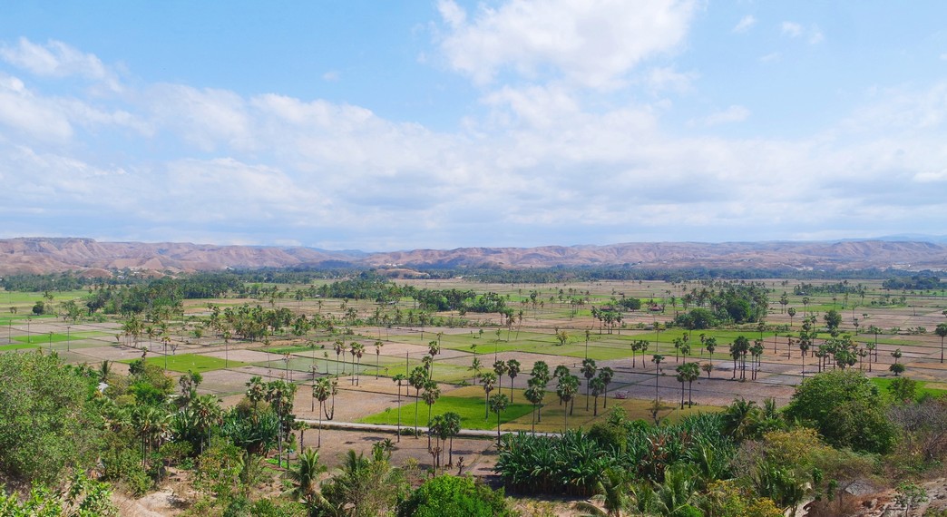 Panorama perbukitan dan sawah yang menghampar luas di Puncak Bukit Persaudaraan Mau Hau