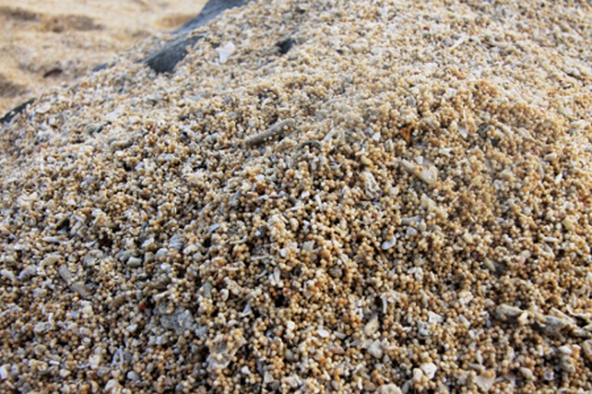 Pasirnya yang lembut dan berbentuk butiran-butiran kecil menjadi sisi lain dari Pantai Kuta
