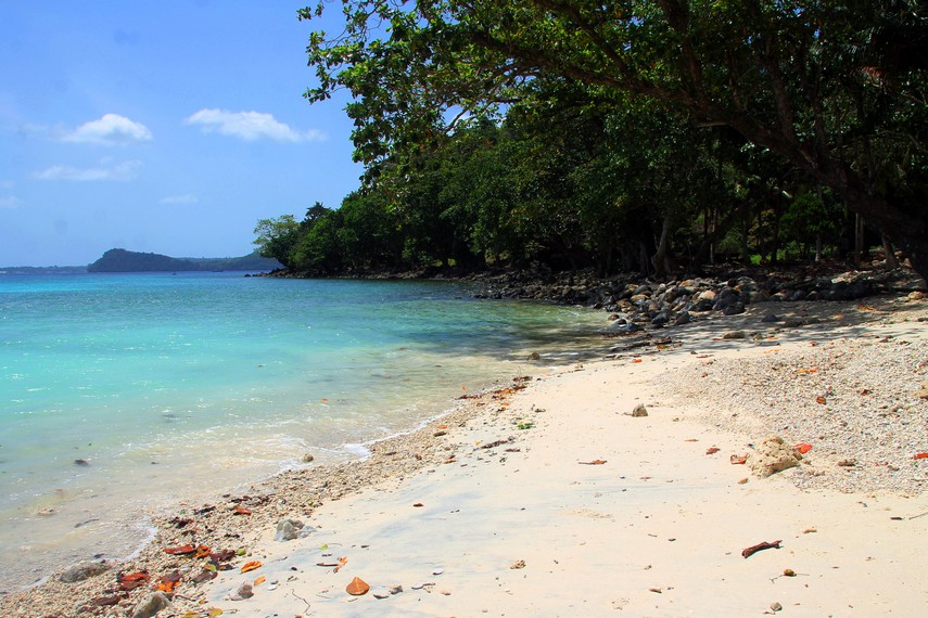 Pasirnya yang putih menjadikan Pantai Gapang rumah yang nyaman bagi keberadaan hewan kecil yang hidup disini