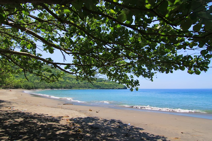 Pepohonan di pesisir pantai menjadi tempat yang nyaman untuk menikmati panorama Pantai Malimbu
