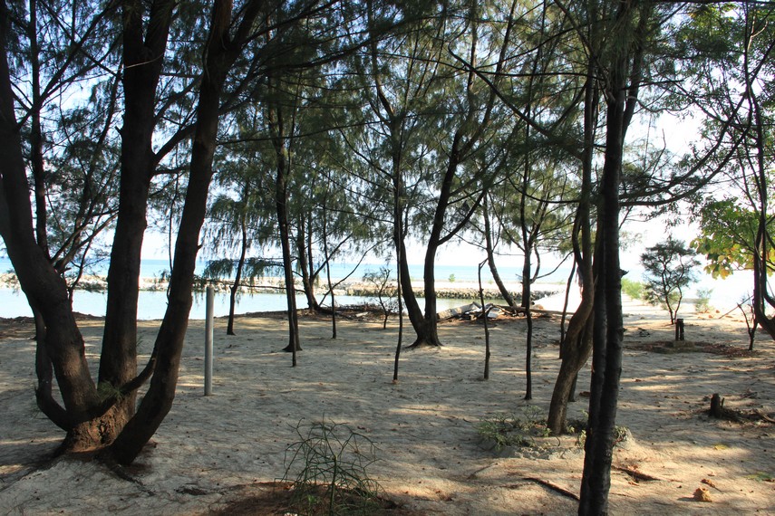 Pulau Gusung Pandan dihiasi pepohonan yang membuatnya terasa sejuk dan permai