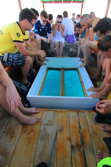 Perahu berdasar kaca siap mengantar wisatawan melihat keindahan alam bawah laut Gili Trawangan