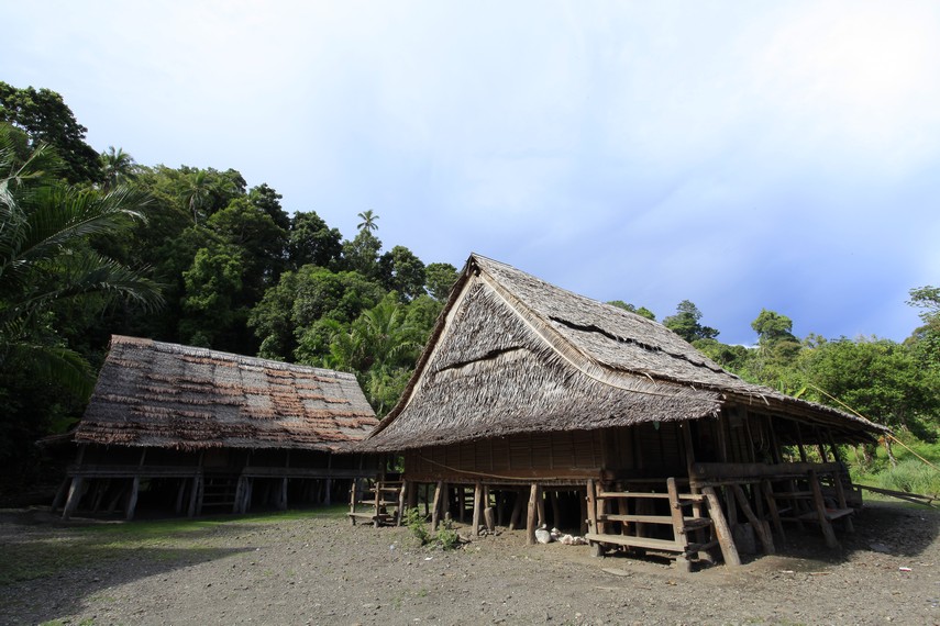 Rumah adat Suku Naulu