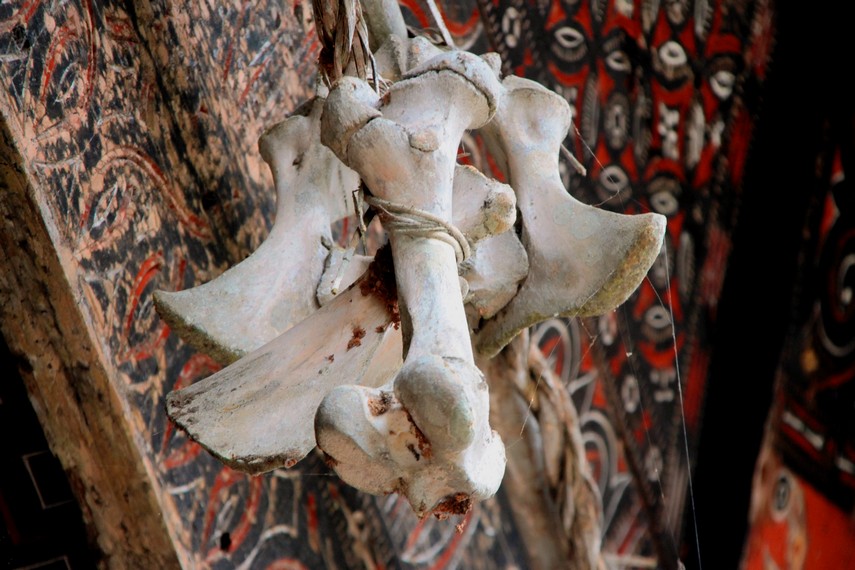 Selain tanduk, Tulang babi yang digantungkan di tongkonan menjadi simbol bahwa pemilik Tongkonan sudah melakukan upacara Rambu Solok
