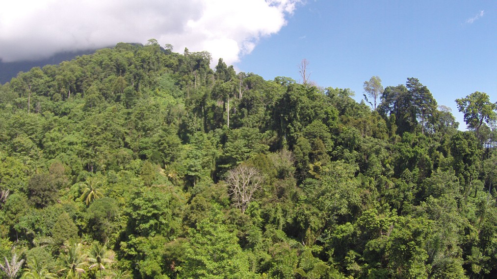 Taman Nasional Manusela dari ketinggian
