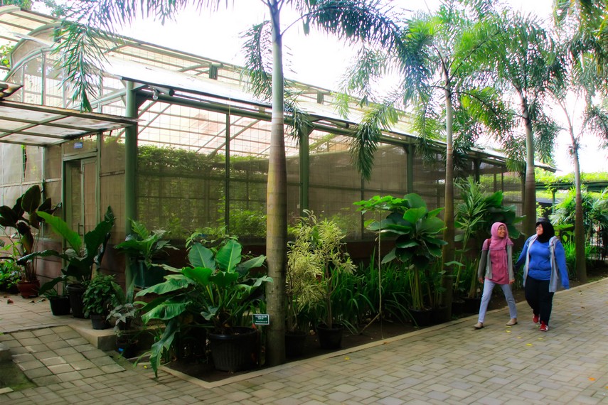 Tempat budidaya tanaman obat yang ada di Kebun Binatang Gembira Loka