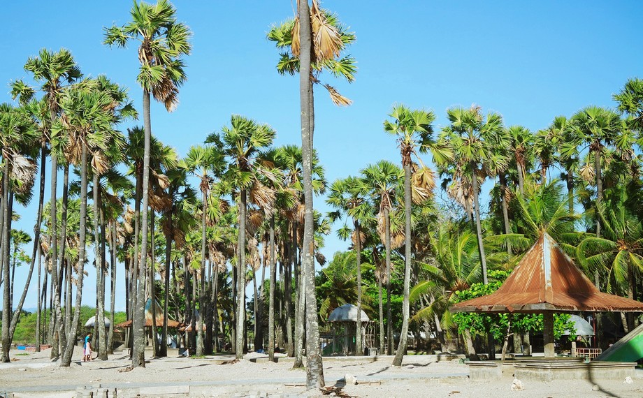 Terdapat banyak lopo, yaitu semacam pondok dari pohon kelapa beratap ijuk yang biasa digunakan oleh pengunjung untuk tempat bersantai
