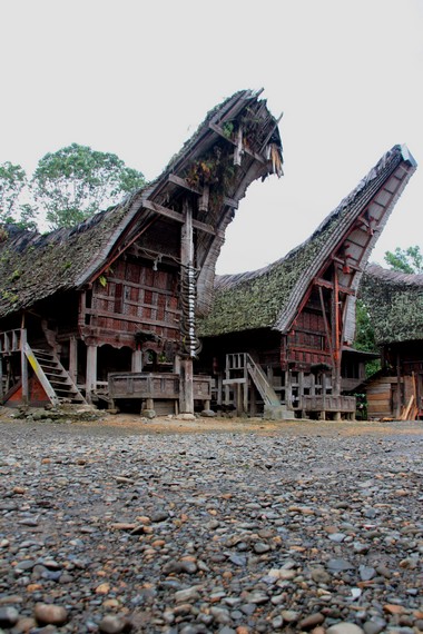 Tongkonan di Desa Pallawa terbuat dari kayu besi dan merupakan salah satu tongkonan tertua di Indonesia