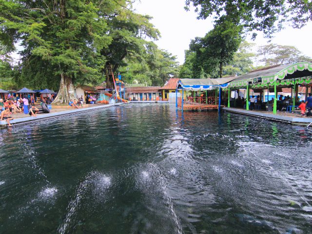 Berenang Bersama Ikan Dewa di Pemandian Cibulan