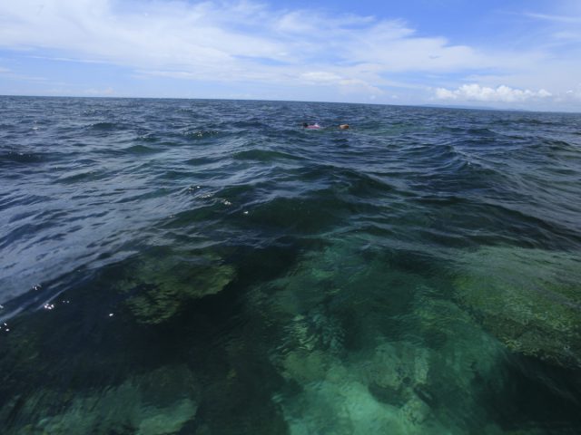 Keindahan Alam Bawah Laut Perairan Sawai