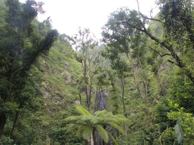 Menjelajah Kaliurang, Destinasi Alam Favorit di Lereng Merapi