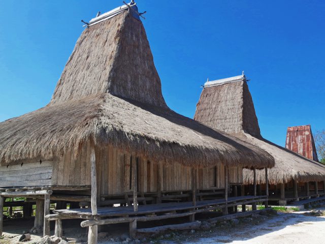 Mengenal Keunikan Budaya Sumba di Kampung Adat Praiyawang