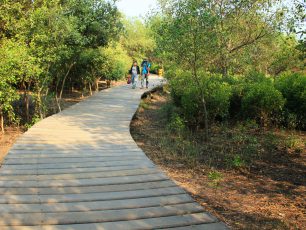 Belajar Sambil Berwisata di Ekowisata Mangrove Wonorejo