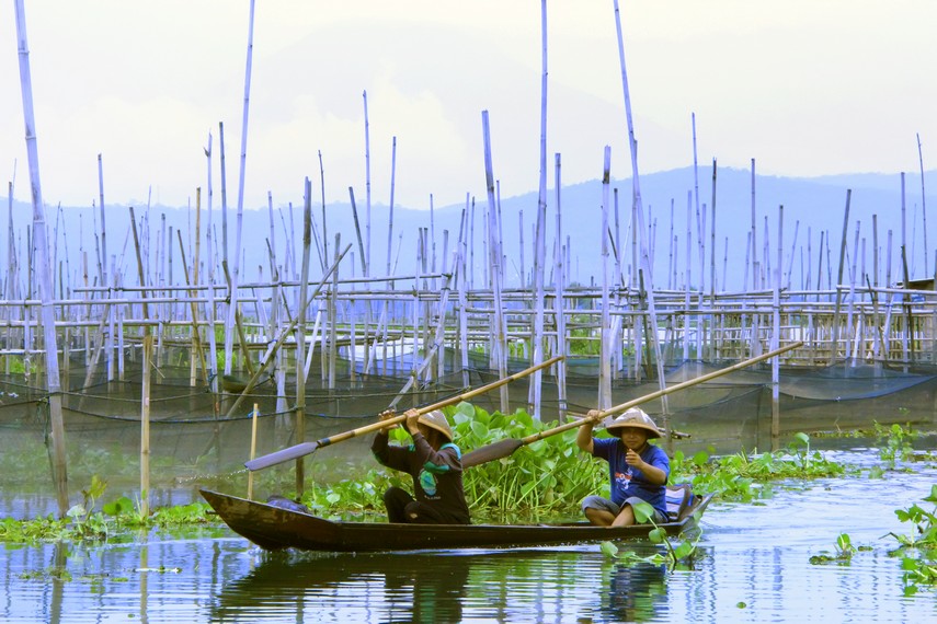 Aktivitas ekonomi danau dan desa Banyubiru