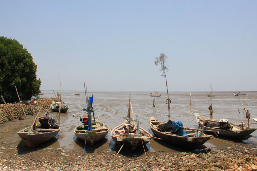 Pengunjung  dapat melakukan aktivitas di pantai seperti memancing dan naik perahu mengelilingi area pantai