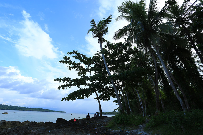 Deretan pohon kelapa di tepi bebatuan Pantai Pasir Putih