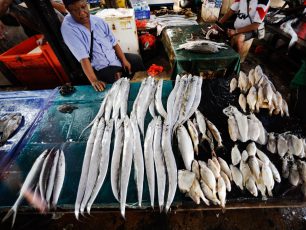 Menelusuri Pasar Ikan Hamadi