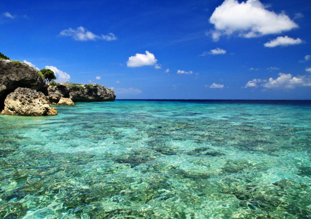 Pulau Kambing, Eksotika Bawah Laut yang Memukau di Tanjung Bira