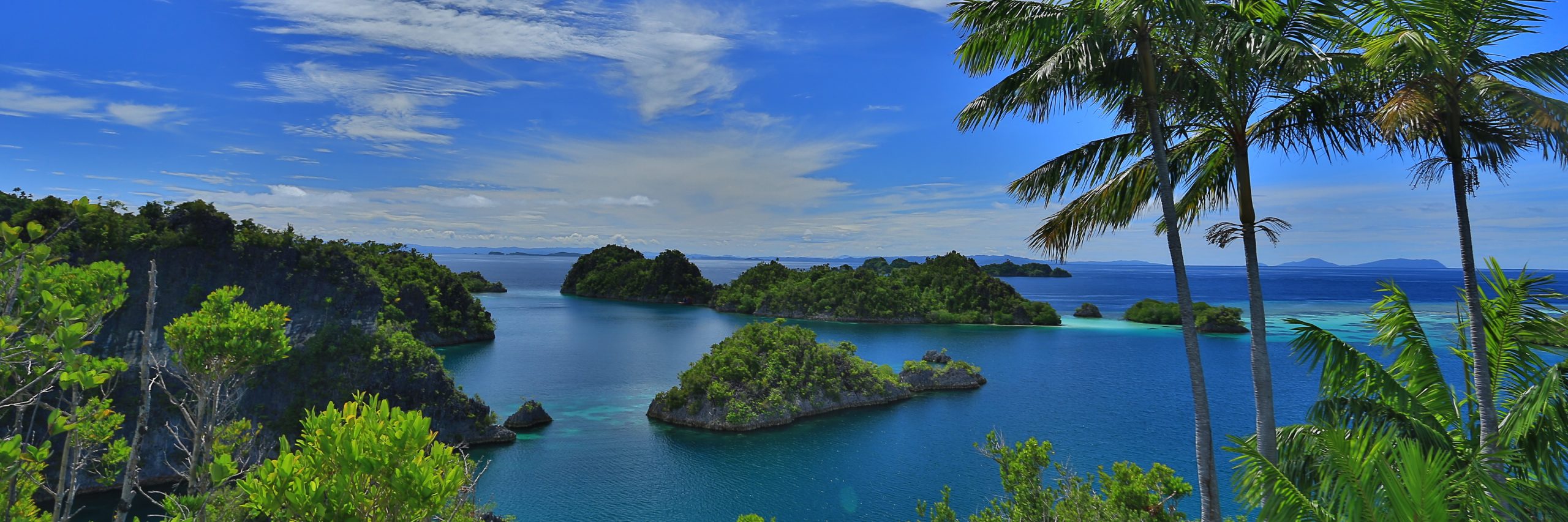 Pulau sebagai yang laut keuntungan ribuan negara dengan memiliki indonesia apa dan luas tropis Apa yang