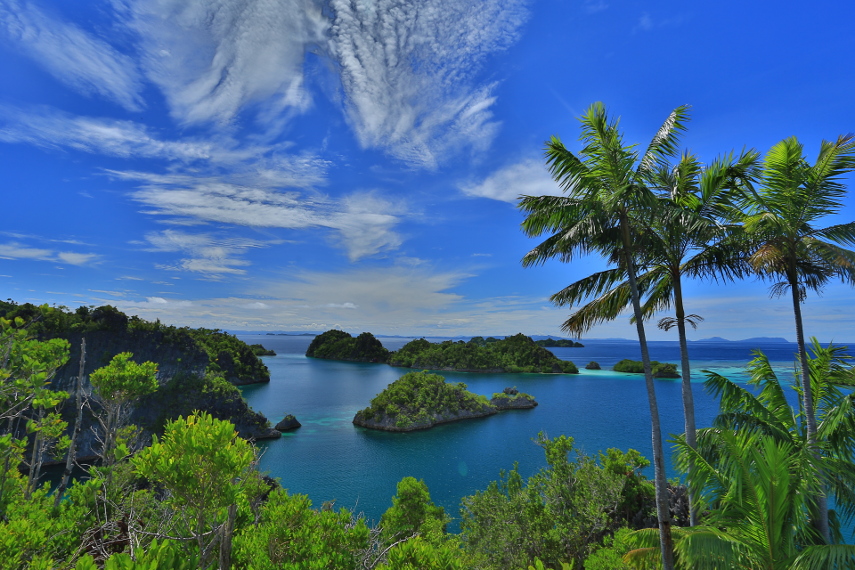 Tropical Raja Ampat: Paradise Found in Indonesian Waters