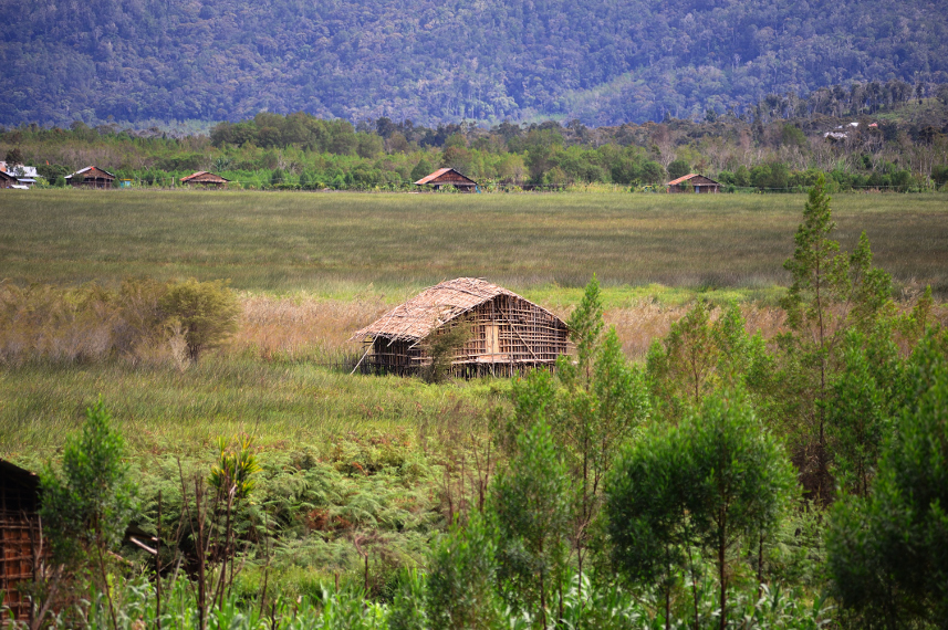 Rumah kaki Seribu di tengah padang rumput