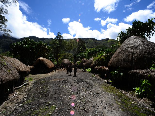 Sistem Tempat Tinggal Sang Penghuni Lembah Baliem