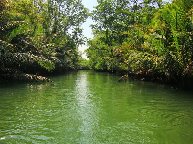 Menjelajah Sungai Cigenter di Taman Nasional Ujung Kulon
