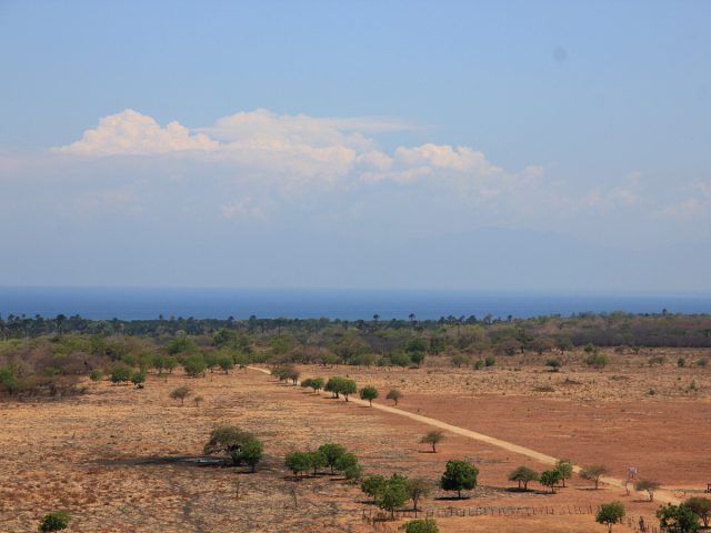 Menjelajahi ‘Afrika van Java’ di Taman Nasional Baluran Situbondo