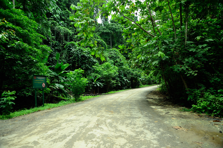 Jalan menuju Pantai Waiwo yang berada di tengah hutan